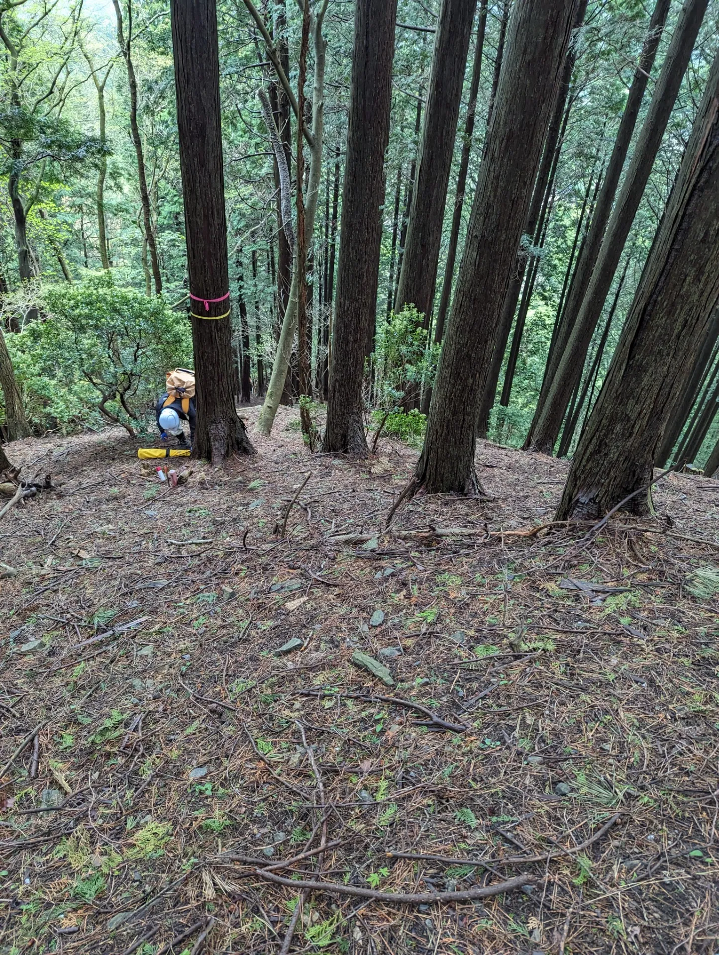 山地での測量