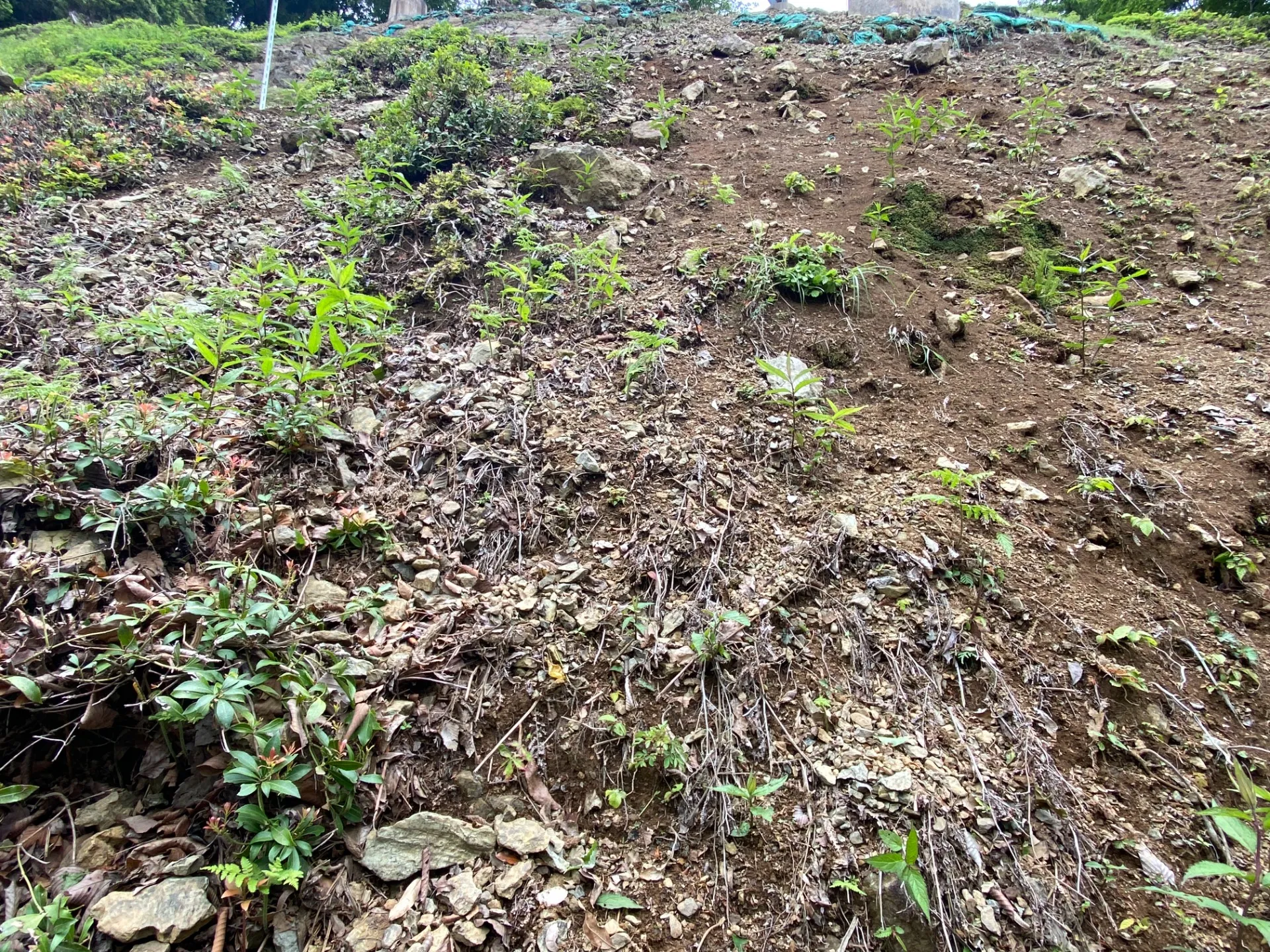 対極な地面の状況