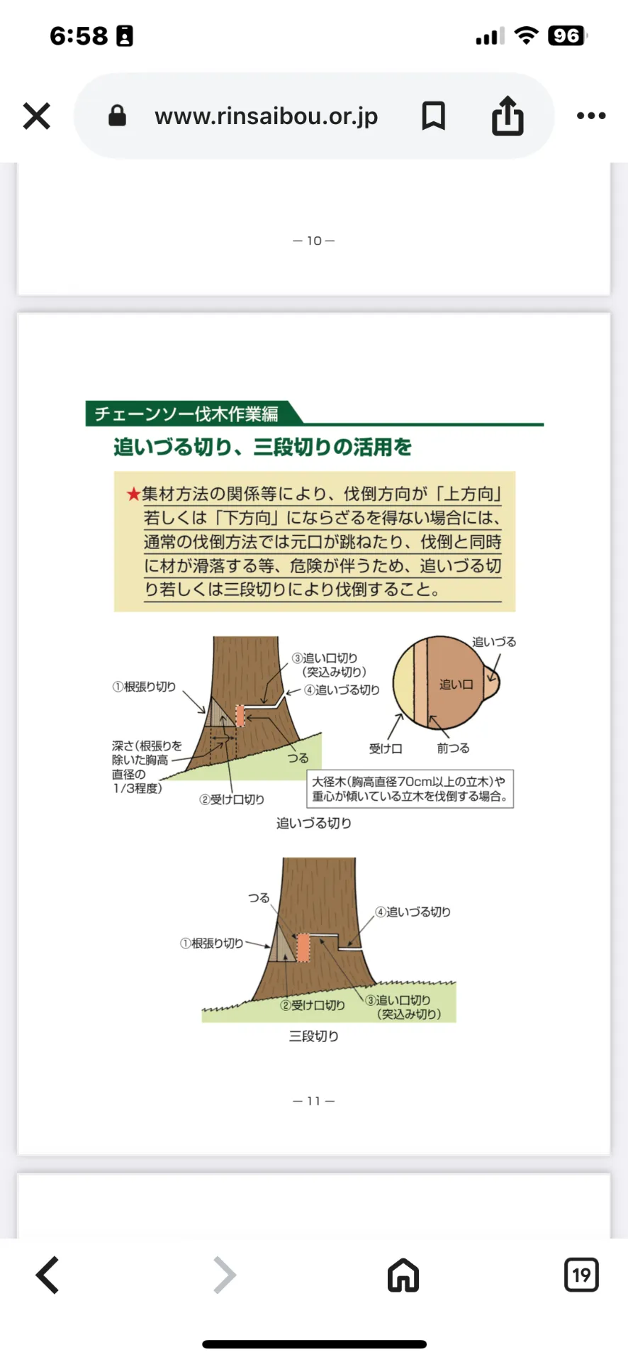 伐採 「三段切り」!!